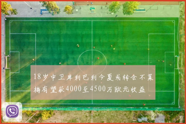 18岁中卫库利巴利今夏或转会不莱梅有望获4000至4500万欧元收益